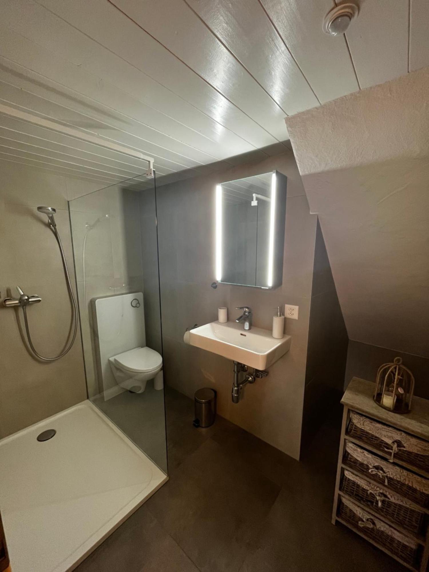 Raccard Renove Hotel ออร์ซิแยร์ ภายนอก รูปภาพ